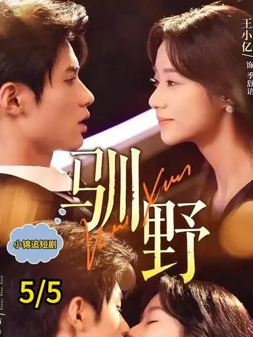 山与海的距离剧情剧热播全集